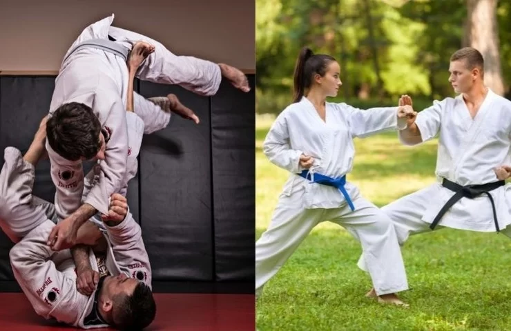 Comparison Between Taekwondo Vs Jiu Jitsu