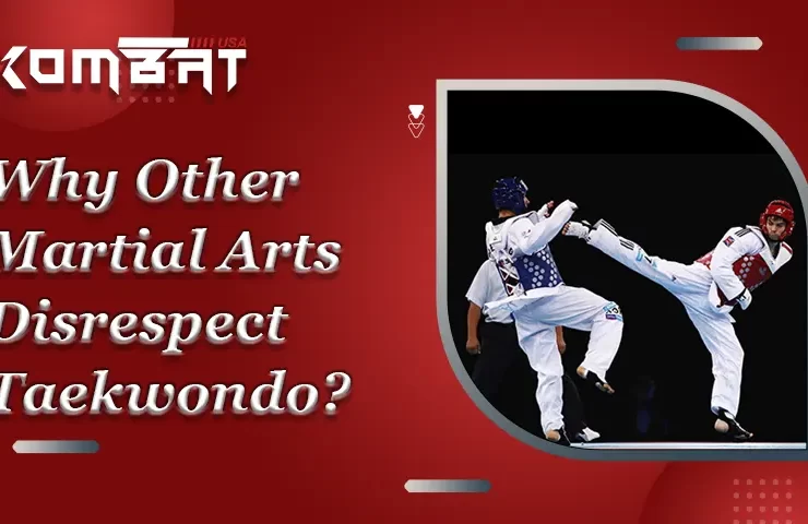 Why Other Martial Arts Disrespect Taekwondo?