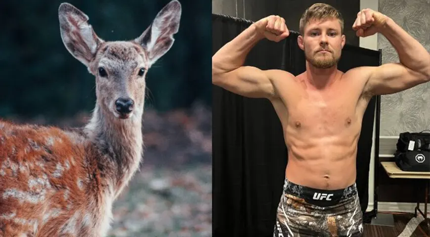 Bryce Mitchell - UFC Veteran Revealed Once He Choked Out A Deer